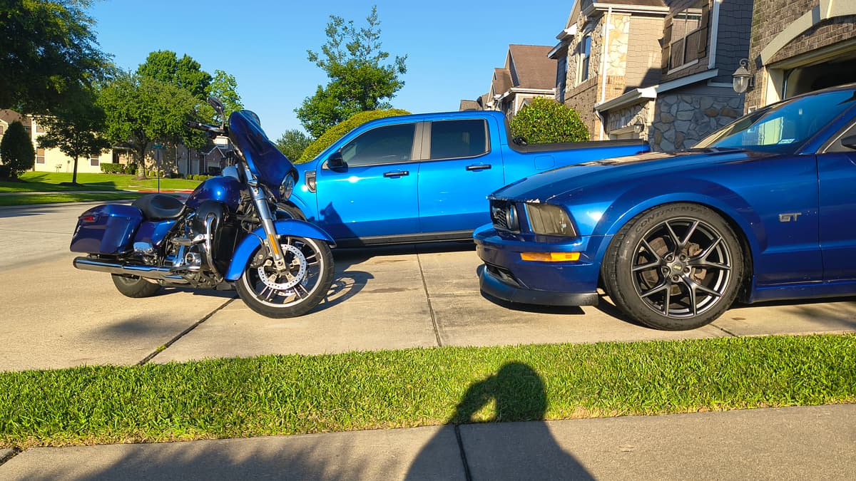 Washed the whips