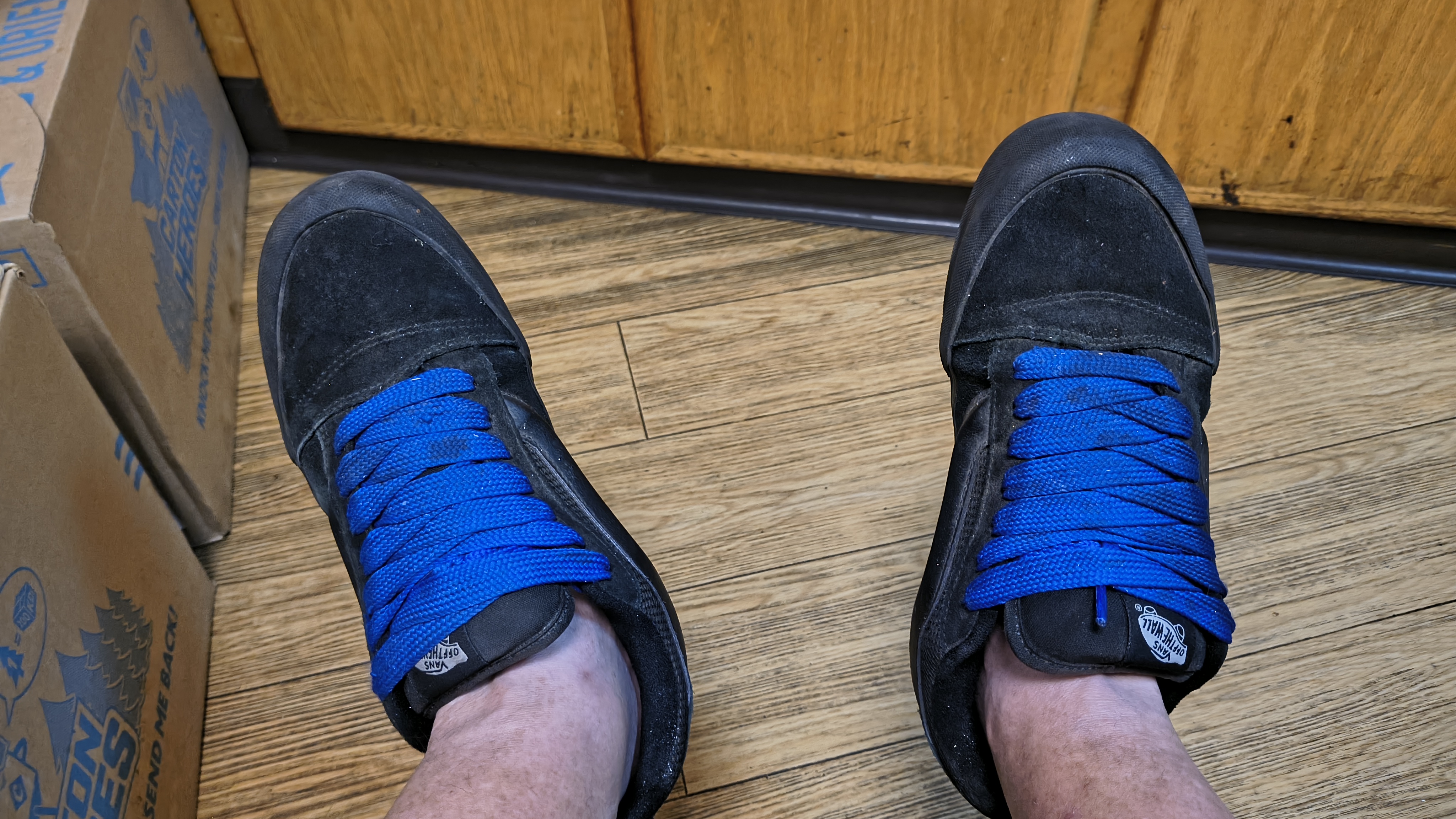 3/4" Fat Laces in Blue
